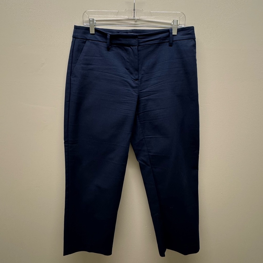 Loft Curvy‎ Pants